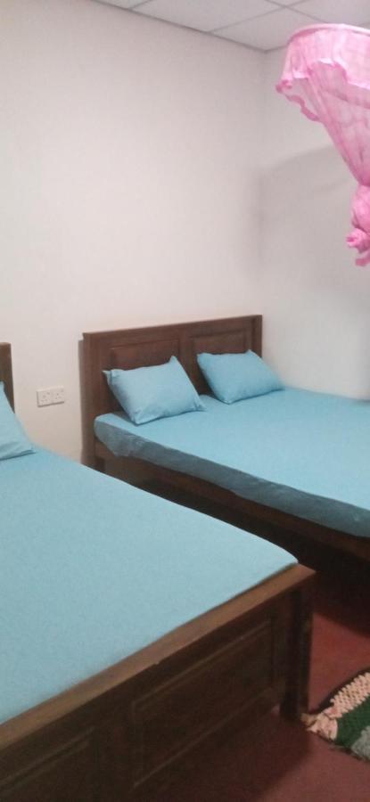 Impress Holiday Home Anuradhápura Exteriér fotografie