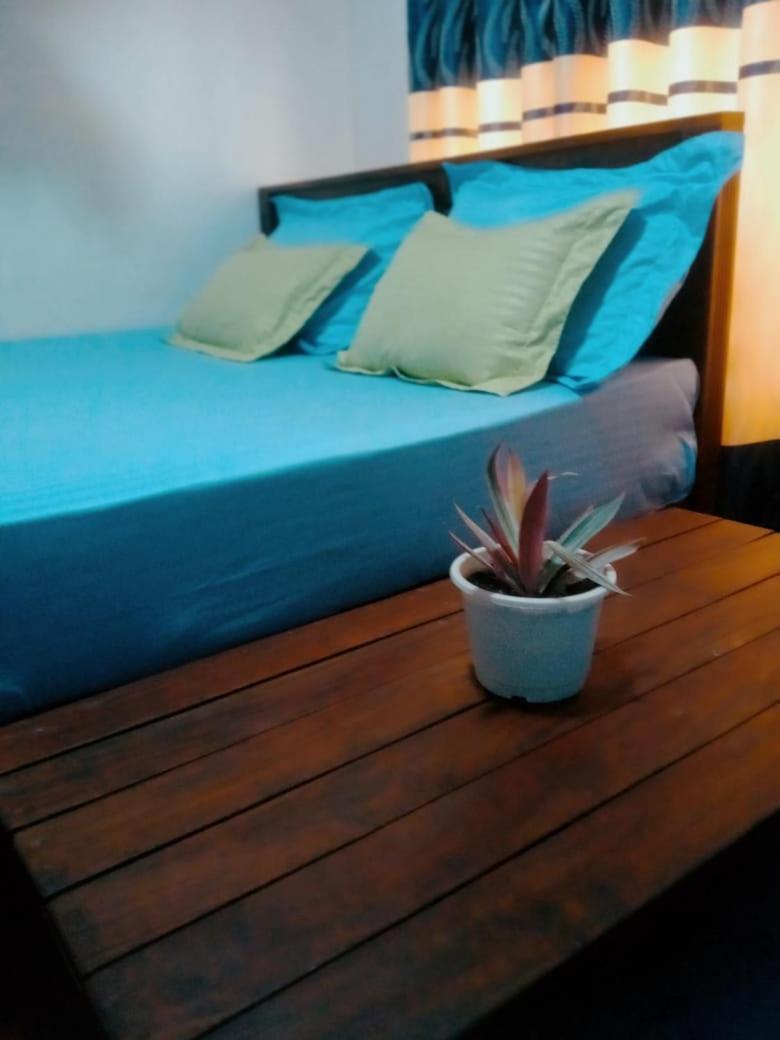 Impress Holiday Home Anuradhápura Exteriér fotografie